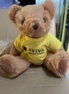 Aviva Teddy